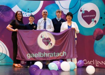 Students in Carlow and Kilkenny among those awarded the Gaelbhratach / Irish Flag