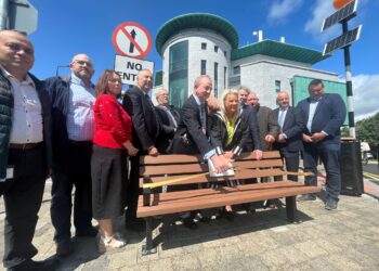 Bagenalstown in Bloom: County Carlow town blossoms in time for festival