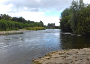 We may find out today if ban on popular Kilkenny city swim spot will be lifted