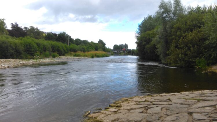 We may find out today if ban on popular Kilkenny city swim spot will be lifted