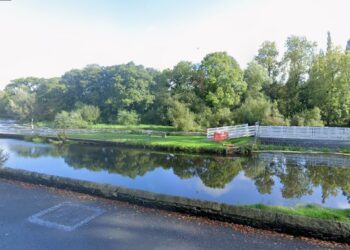 Body found in search for missing teenager in County Carlow