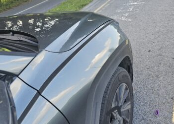 Gardaí in Kilkenny city discover suspected cannabis herb in car that undertook them at roundabout