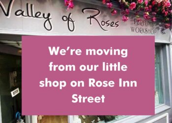 Kilkenny city business blossoms into bigger offering