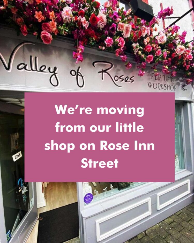 Kilkenny city business blossoms into bigger offering