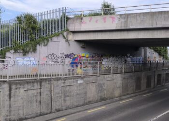 Calls for designated street art space in Carlow amid rising graffiti issues