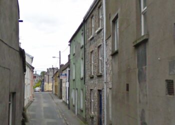 Gardaí seeking information on man who was ‘acting the eejit’ at a Carlow town home