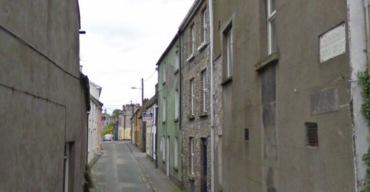 Gardaí seeking information on man who was ‘acting the eejit’ at a Carlow town home