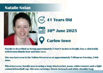 Search underway for woman last seen in Carlow town