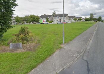 Range of gardening equipment missing from home on outskirts of Kilkenny city