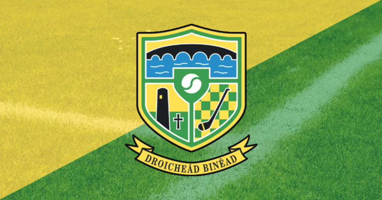 “One Point Out of Three is Better Than Nothing” – Bennettsbridge Keeper Looks Ahead to Glenmore Clash