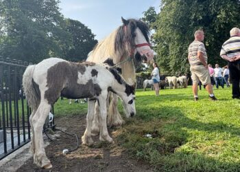 Could famed Borris Fair in county Carlow be in jeopardy?