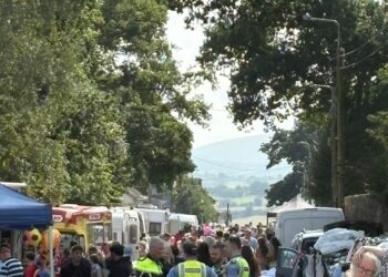Could famed Borris Fair in county Carlow be in jeopardy?