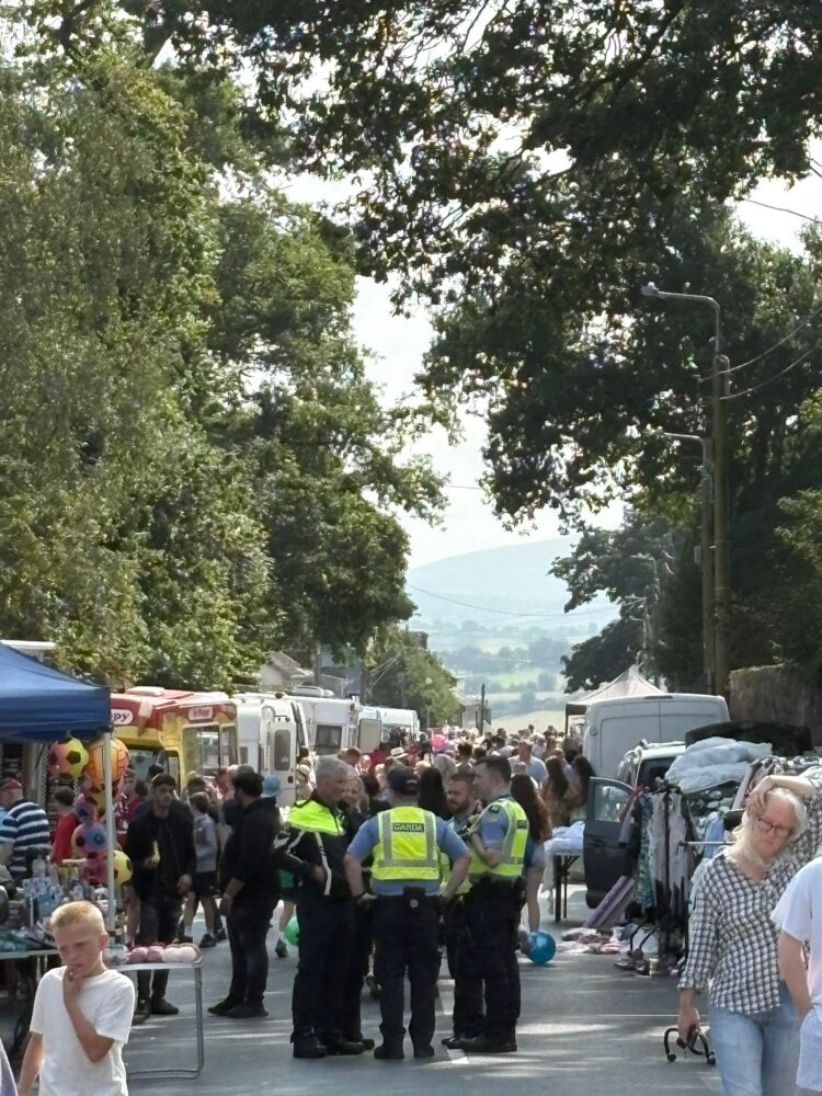 Could famed Borris Fair in county Carlow be in jeopardy?