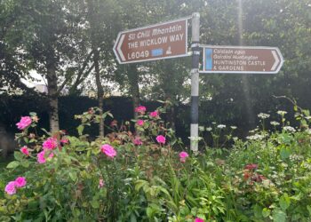 Picturesque County Carlow village set for new audio heritage trail