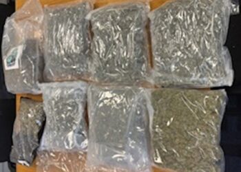 Two men arrested following seizure of €120,000 worth of suspected cannabis in south east