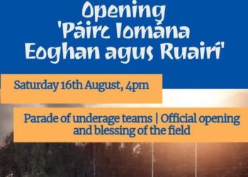 Opening of new county Carlow pitch named after two much loved boys