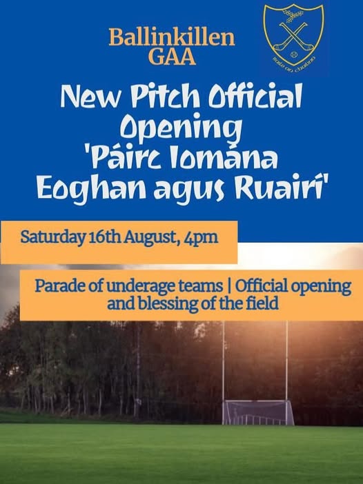 Opening of new county Carlow pitch named after two much loved boys