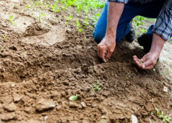 Kilkenny farm opens up today to highlight sustainable farming
