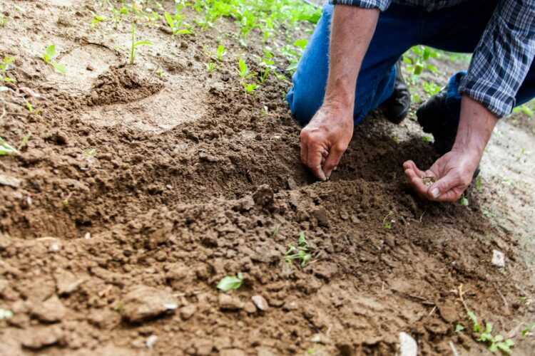Kilkenny farm opens up today to highlight sustainable farming