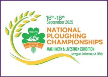 Traffic to Tullamore to build including through Carlow and Kilkenny as National Ploughing Championships opens