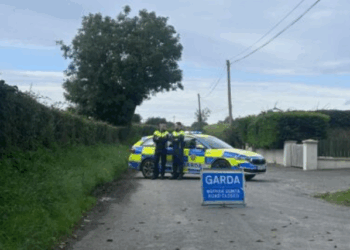 Man arrested after three bodies found dead in County Louth