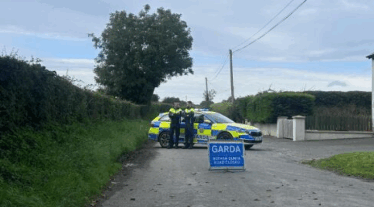 Man arrested after three bodies found dead in County Louth
