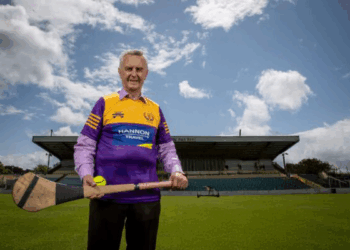 Carlow’s Jim Bolger puts his Wexford stud up for sale.