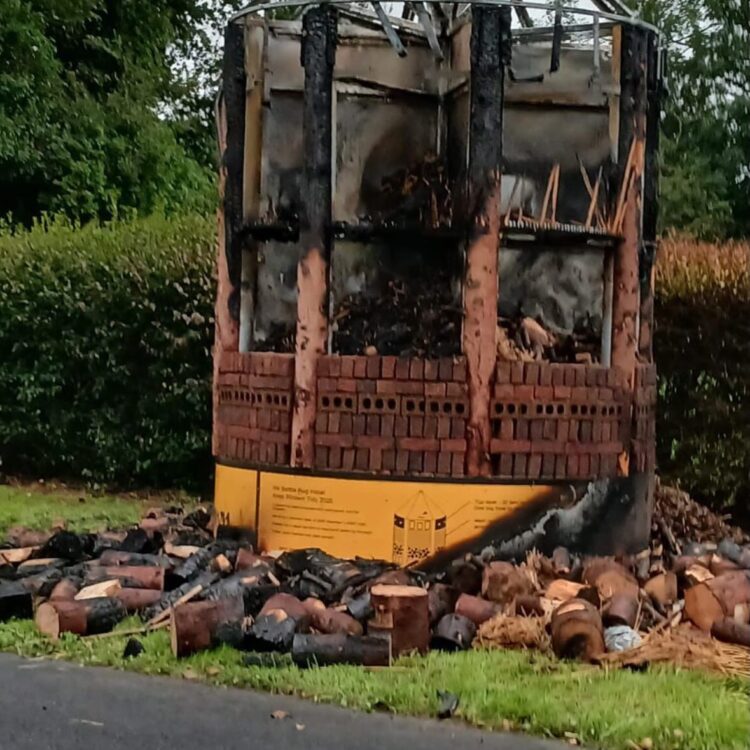 Fundraiser launched to restore south Kilkenny bug hotel