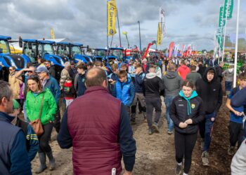 Carlow and Kilkenny Plough competitors set for day two in the furrow