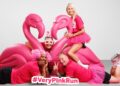 Kilkenny set to host local leg of Very Pink Run