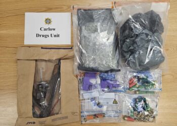 Gardai arrest two men over the seizure of a viable device, firearms and drugs worth €45,000 in Carlow