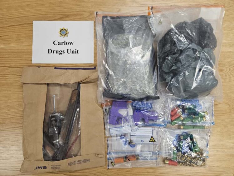 Gardai arrest two men over the seizure of a viable device, firearms and drugs worth €45,000 in Carlow