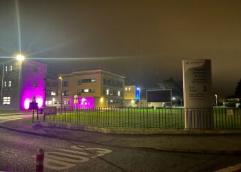 Key buildings in Carlow and Kilkenny light up in memory of babies who died in pregnancy or after birth