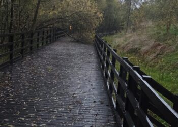 Care needed as wind whips up and rain lashes Kilkenny and Carlow