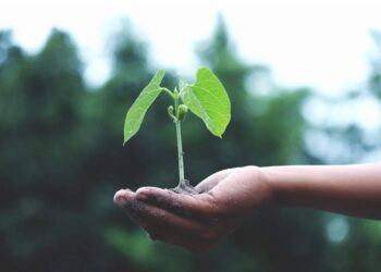 Carlow Climate Action Week takes hold