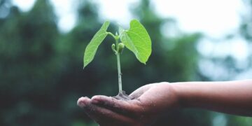 Carlow Climate Action Week takes hold