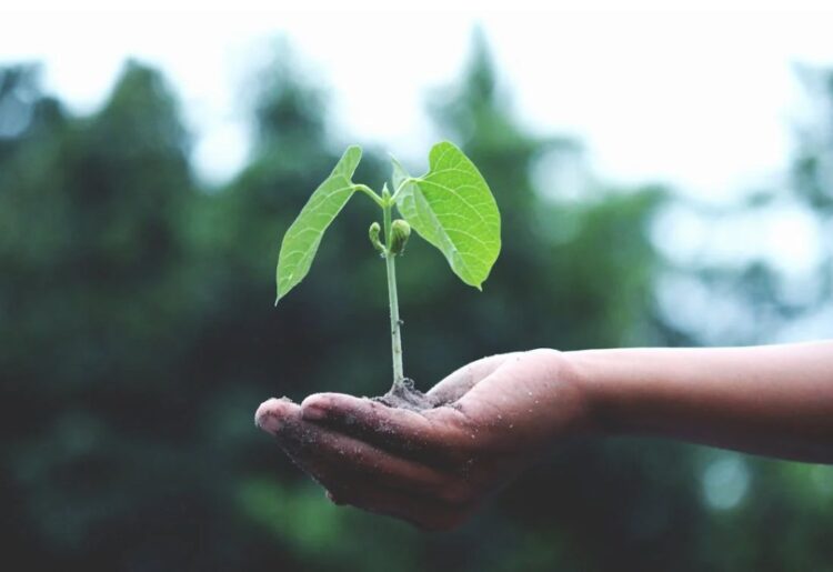 Carlow Climate Action Week takes hold
