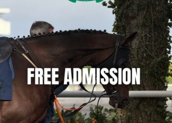Free admission to county Kilkenny sporting event as a ‘thank you’ for support