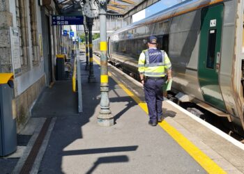Gardaí carrying out patrols on Luas, Dart and InterCity rail services including between Kildare and Carlow