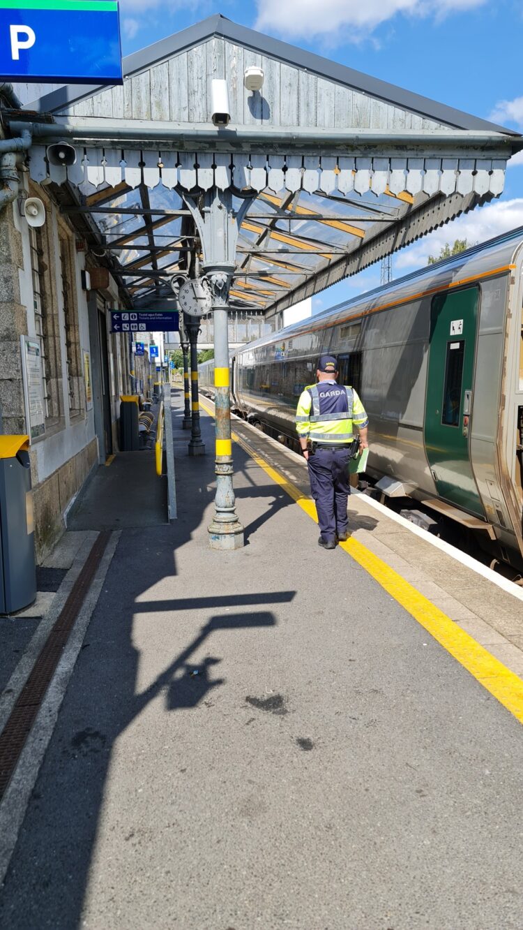 Gardaí carrying out patrols on Luas, Dart and InterCity rail services including between Kildare and Carlow
