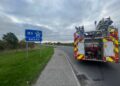Gardaí out clearing scene of dead horses in Kilkenny