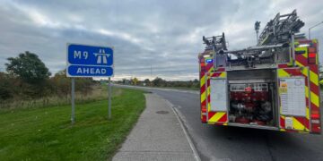 Gardaí out clearing scene of dead horses in Kilkenny
