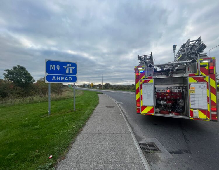 Gardaí out clearing scene of dead horses in Kilkenny