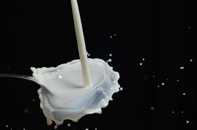 “We don’t want a price war, we need a fair value for fresh milk” is the call from dairy farmers