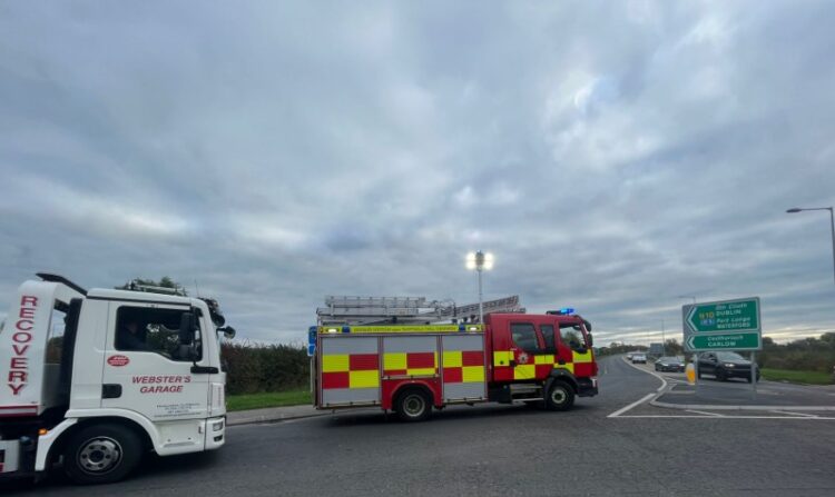 Gardaí out clearing scene of dead horses in Kilkenny