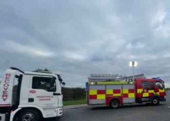 Gardaí out clearing scene of dead horses in Kilkenny