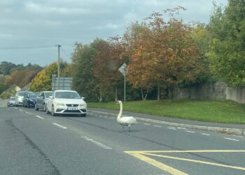 Traffic at standstill in Kilkenny but not for the usual reasons