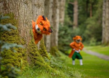 Famed County Kilkenny outdoor amenity to feature in Late Late Toy Show