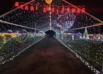 Tinryland Christmas Lights switched on in memory of county Carlow teenager
