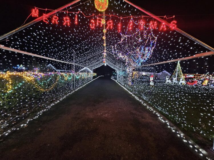 Tinryland Christmas Lights switched on in memory of county Carlow teenager